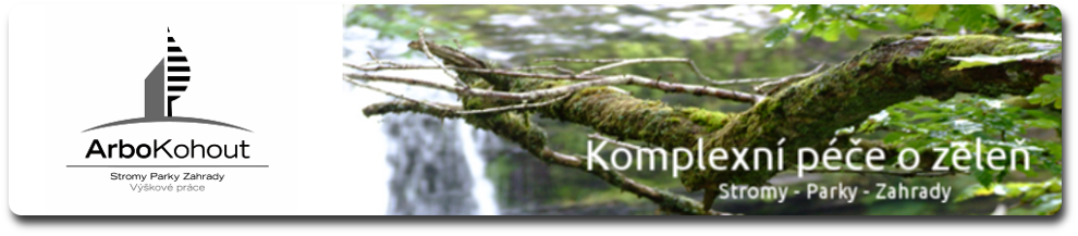Domů